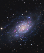NGC 2403